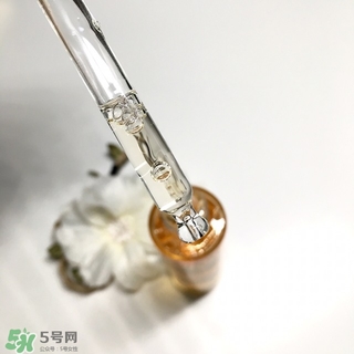 嬌蘭黃金蜜原蜜怎么用？嬌蘭黃金蜜原蜜使用方法