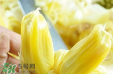 菠蘿蜜怎么吃？菠蘿蜜好吃嗎？