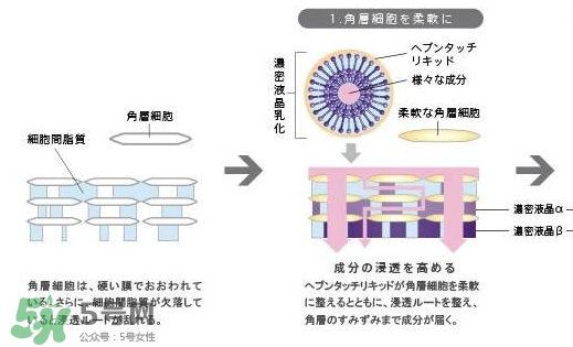 pola極光精華怎么用？pola極光精華使用方法