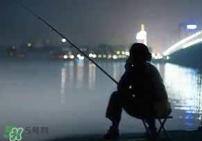 春分能夜釣嗎？春分能釣鯉魚嗎？