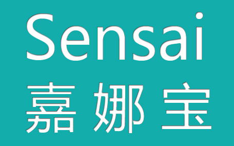 sensai洗面奶怎么樣?sensai洗面奶好用嗎?