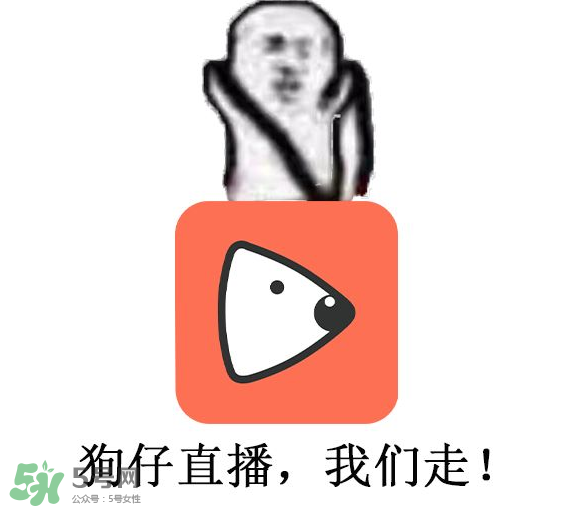 黃鱔為什么火了？黃鱔我們走為什么火了？