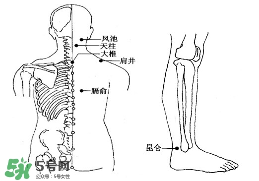 刮痧能治頸椎病嗎？頸椎病刮痧正確圖片