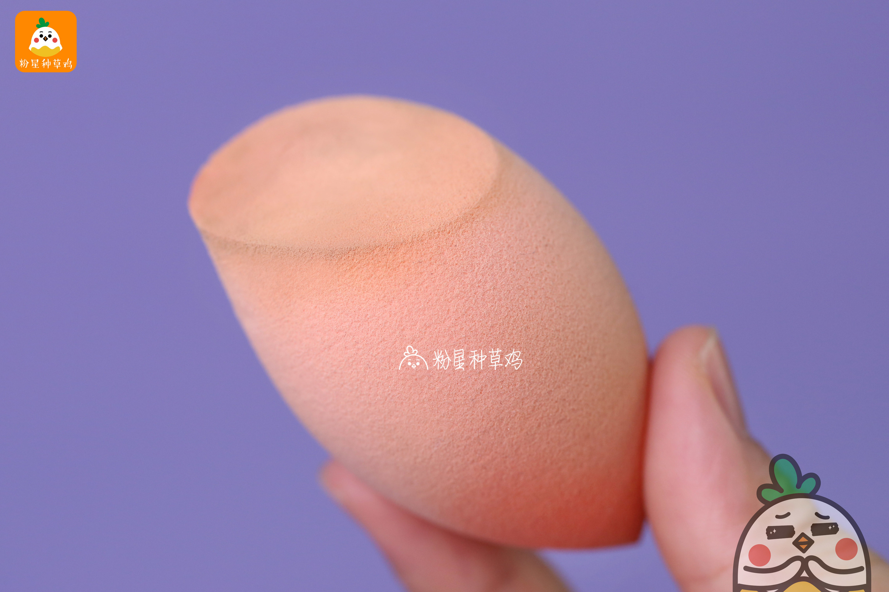 beauty blender美妝蛋和rt美妝蛋哪個(gè)好？