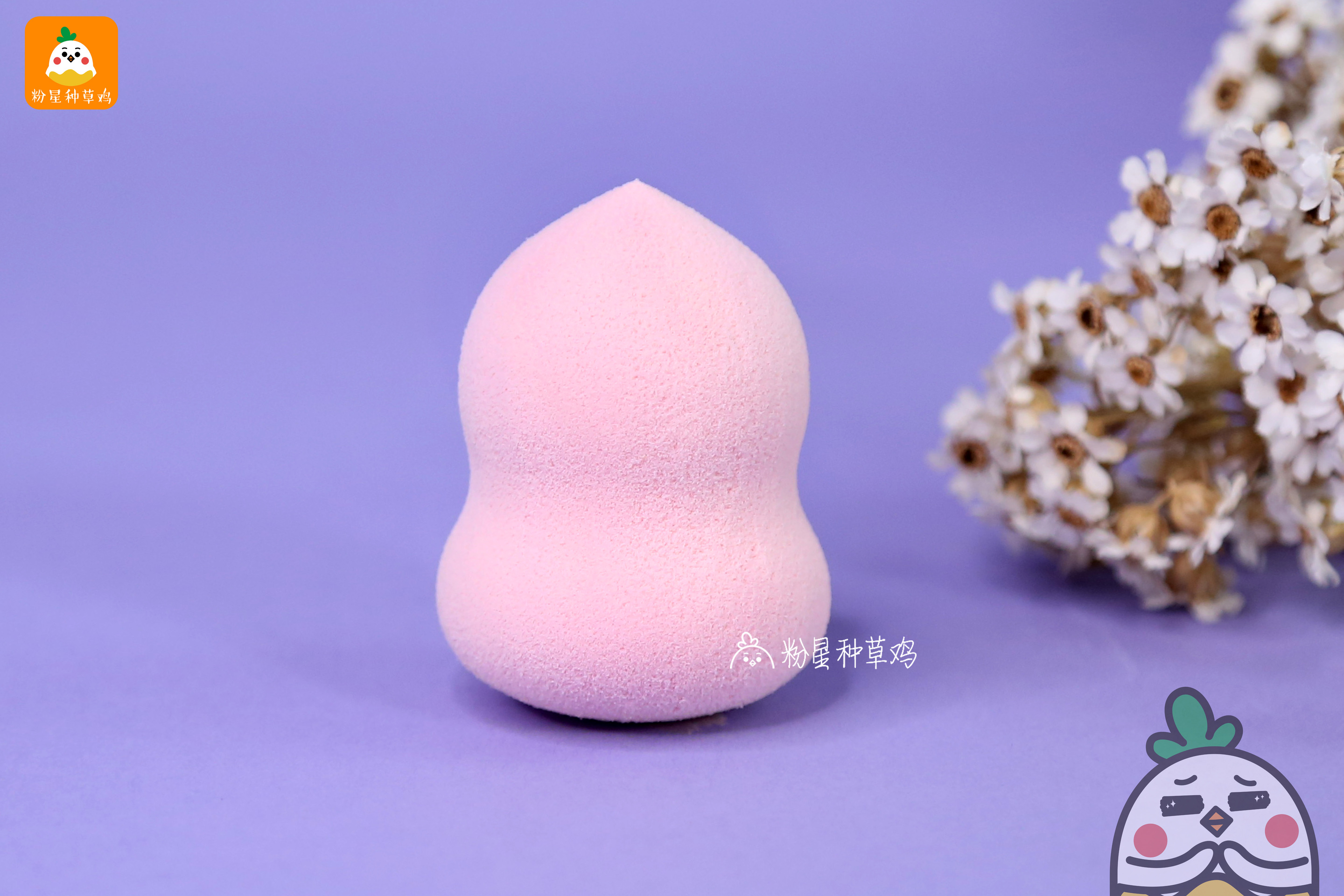 beauty blender美妝蛋和rt美妝蛋哪個(gè)好？