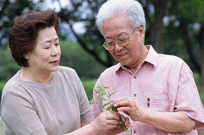 高血脂能不能吃雞蛋？血脂高可以吃雞蛋嗎