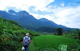 四月份去哪里旅游比較好？四月份最適合旅游的地方