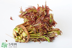 香椿樹什么時候發(fā)芽？香椿樹什么時候種植