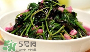 莧菜怎么吃？莧菜怎么炒