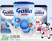 gallia佳利雅是什么品牌？gallia佳利雅奶粉是哪個(gè)國家的品牌？