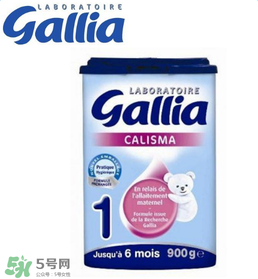 gallia佳利雅奶粉怎么沖？gallia佳利雅奶粉沖調(diào)方法？