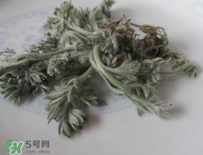 白蒿能治黃疸嗎？白蒿水可以治黃疸嗎？