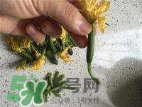 黃瓜花能吃嗎？黃瓜花怎么吃