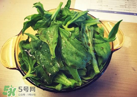 吃冰菜有什么好處？冰菜吃了有什么好處？