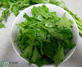 芹菜葉怎么吃？芹菜葉吃法