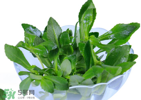 救心菜有毒嗎？救心菜怎么吃沒(méi)毒？