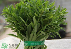 救心菜有毒嗎？救心菜怎么吃沒(méi)毒？