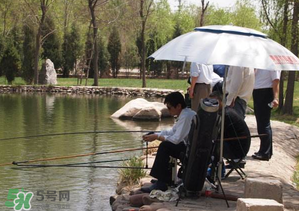 立夏好釣魚嗎？立夏怎么釣魚？