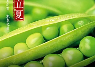 立夏吃什么好？立夏吃什么蔬菜？