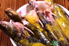 嘎魚是鯰魚嗎？嘎魚是黃辣丁嗎