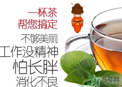 脂流茶成分 脂流茶可以減肥嗎？