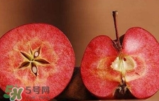 紅心蘋果多少錢一斤？紅肉蘋果價(jià)格