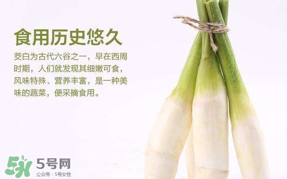 茭白是發(fā)物嗎？茭白是不是發(fā)物