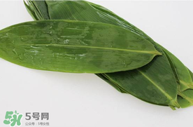 新鮮粽葉怎么處理？新鮮粽子葉怎樣處理？