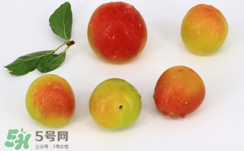 雙華李有什么營(yíng)養(yǎng)？雙華李的營(yíng)養(yǎng)價(jià)值