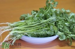 香菜是寒性食物嗎？香菜是熱性還是涼性？