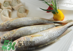 黃魚(yú)多少錢(qián)一斤？黃魚(yú)多少錢(qián)一斤2017？