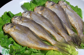 小黃魚長大后會(huì)不會(huì)變成大黃魚？