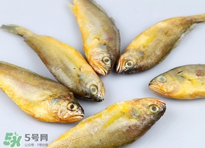 小黃魚不能和什么一起吃？小黃魚和什么相克？