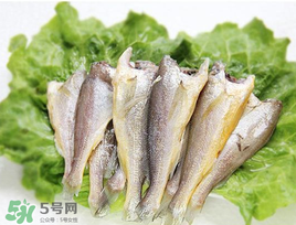 小黃魚可以養(yǎng)殖嗎？小黃魚能人工養(yǎng)殖嗎？