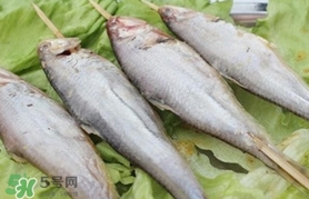 馬口魚怎么釣？馬口魚什么時候釣最好