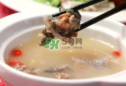 甲魚(yú)湯怎么做？甲魚(yú)湯的做法