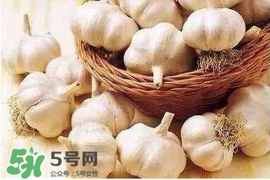 新蒜頭怎么保存不發(fā)芽？新蒜頭怎么存放