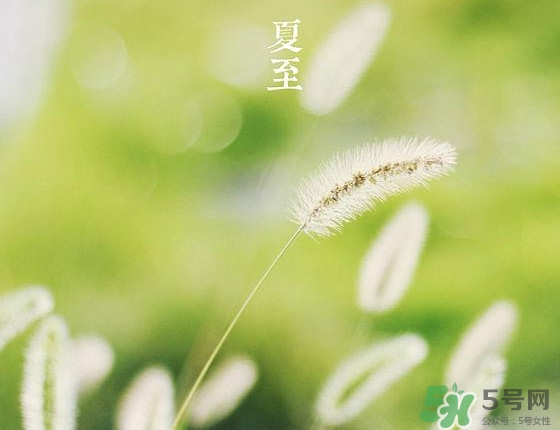 夏至是夏天的開始嗎 夏至是幾月幾日