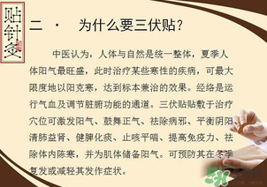 三伏貼能治什么??？三伏貼能治哪些病？