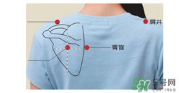 三伏貼貼在什么位置？三伏貼貼哪里？