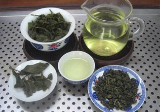 杜仲茶哪些人不適宜喝？杜仲茶飲用注意事項(xiàng)