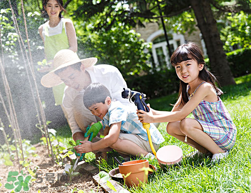 八月份可以種什么菜？八月份適合種植的蔬菜