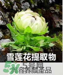 卡姿蘭素顏霜成分 卡姿蘭素顏霜對(duì)皮膚傷害大嗎