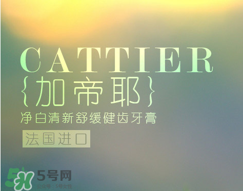 cattier加帝耶是什么牌子？法國cattier什么檔次？