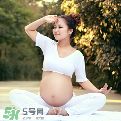 孕婦可以吃竹葉菜嗎？竹葉菜孕婦可以吃嗎？