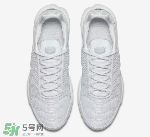 nike air max plus ice blue多少錢？耐克氣墊plus冰藍(lán)配色價(jià)格