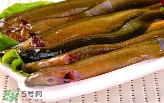 鰻魚是泥鰍嗎？鰻魚與泥鰍什么區(qū)別