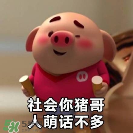 豬小屁表情包是什么？豬小屁表情包為什么這么火？