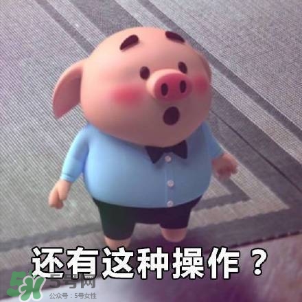 豬小屁表情包是什么？豬小屁表情包為什么這么火？