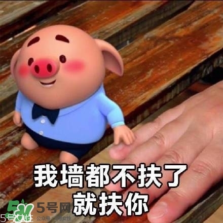 豬小屁多少錢一個？豬小屁哪里可以買到